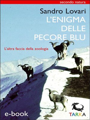 cover image of L'enigma delle pecore blu